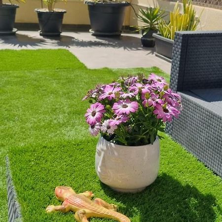 La Zenia Sabrina Apartment 5 โอริอุเอลา ภายนอก รูปภาพ