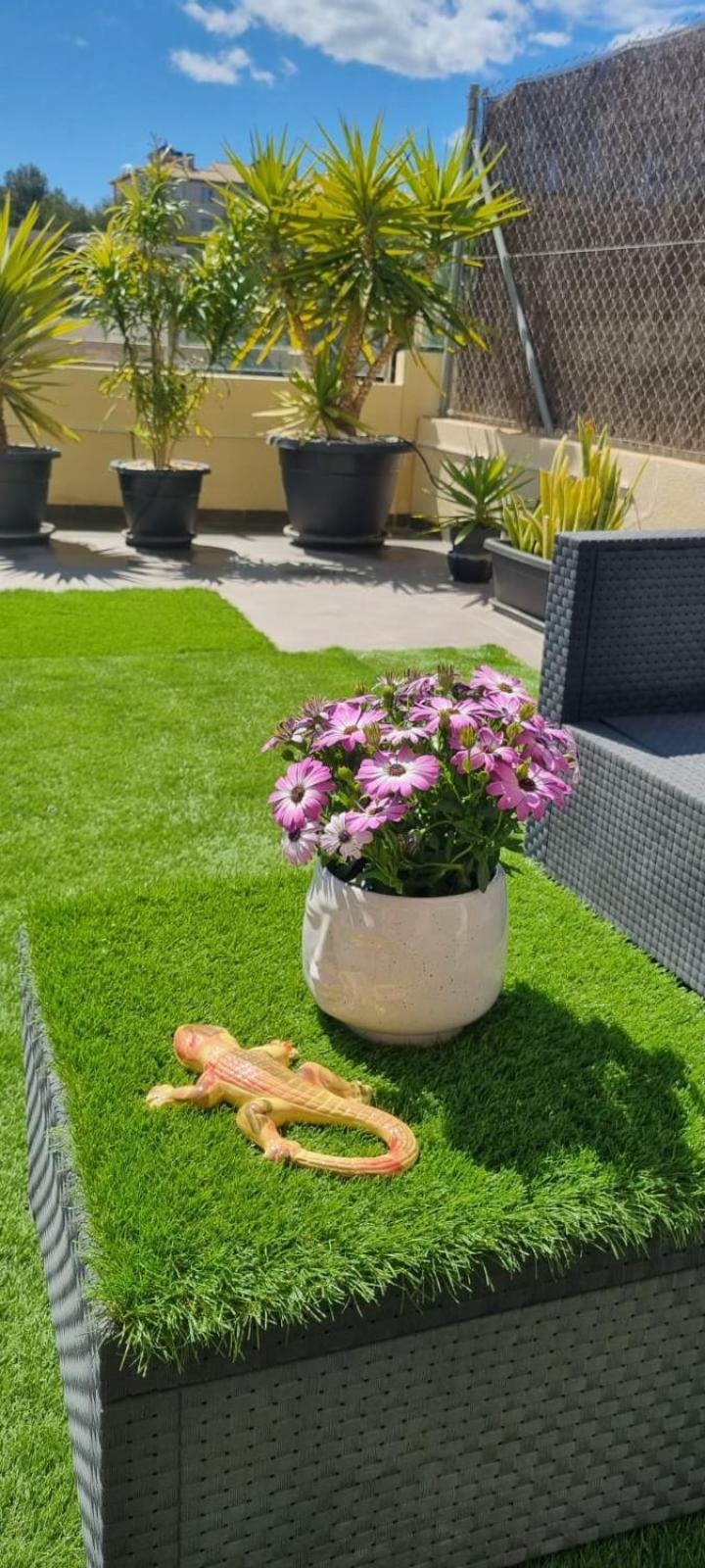 La Zenia Sabrina Apartment 5 โอริอุเอลา ภายนอก รูปภาพ